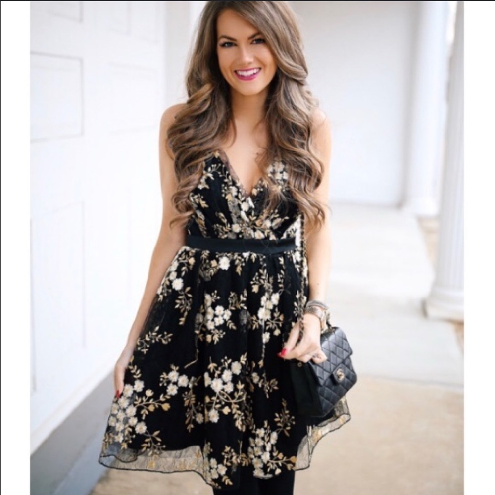 Express Dress Floral Lace/Embroidery Sleeveless Fit-Flared V-Neck Whimsy Size 10